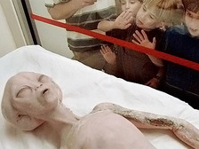 m_505862.jpg