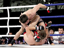 Бойцы за чемпионский пояс примут участие в пресс-конференции Fight Nights