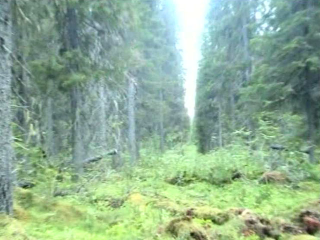 http://www.vgtrk.cdnvideo.ru/p/o_540285.jpg/