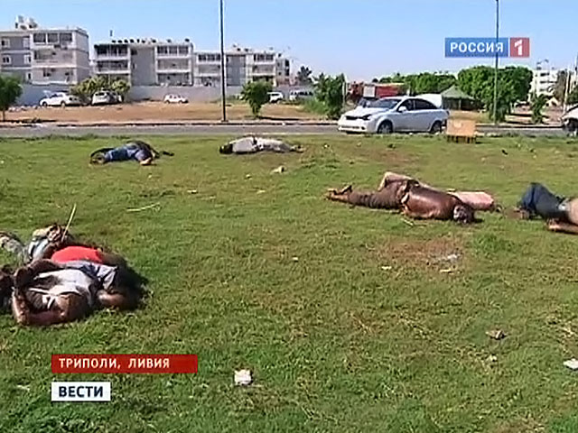 http://www.vgtrk.cdnvideo.ru/p/o_541095.jpg