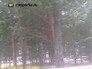 Видеоновость: В Сургут вернулась зима. Видео очевидца
