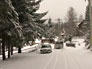 Видеоновость: Сербия. Непогода в Европе